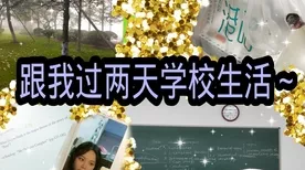 恋与制作人第九章深度解析，香樟树梦境奇遇与剧情高光时刻全揭秘