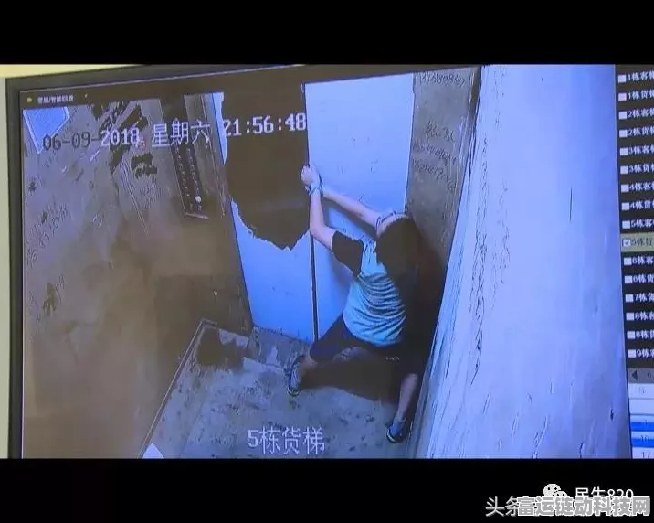 梦幻西游手游，惊魂铃法宝属性搭配深度解析与实战攻略
