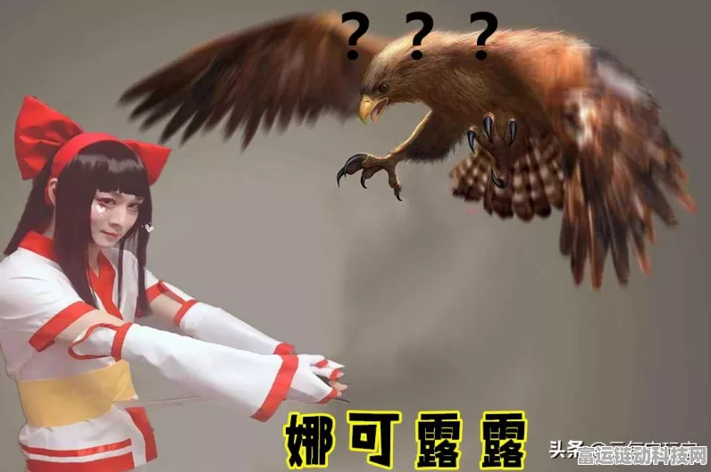 剑与远征×娜可露露梦幻联动，兑换货币全攻略及活动细节大公开