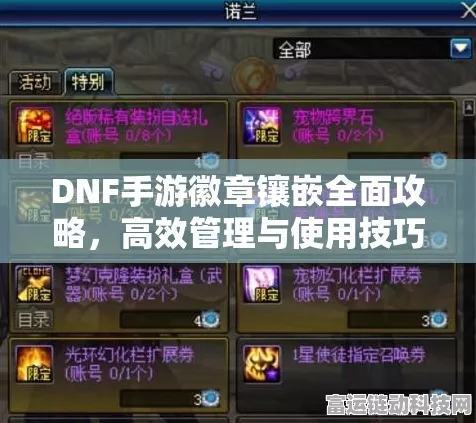 DNF手游深度解析，华丽双重徽章镶嵌全攻略