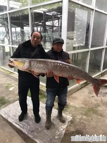 丑丑鱼垂钓秘籍，晶灿钻石明亮珍珠版定点捕获全攻略