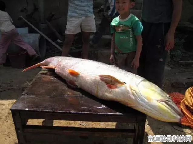 丑丑鱼垂钓秘籍，晶灿钻石明亮珍珠版定点捕获全攻略