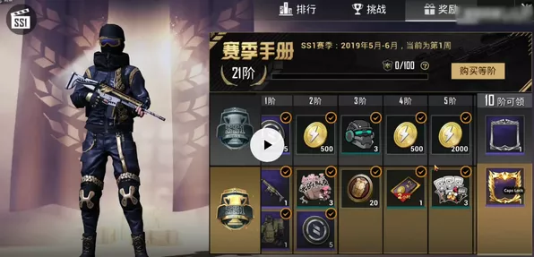 和平精英暗夜之虎皮肤揭秘，积分获取全攻略及保底积分详解
