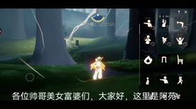 光遇雨林冥想任务深度解析，冥想点解锁秘籍与隐藏福利大起底