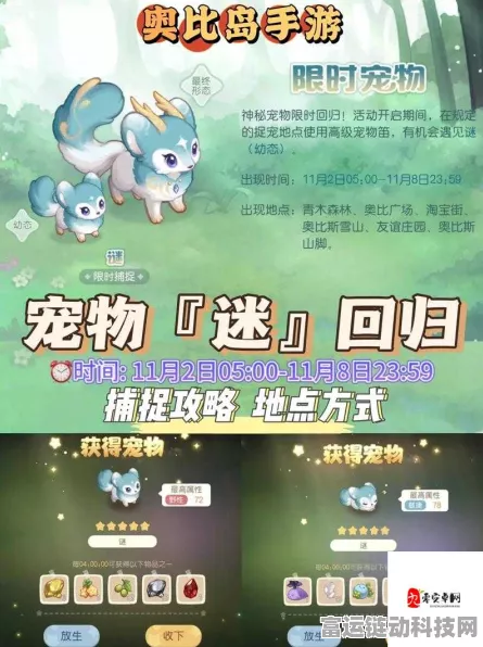 奥比岛宠物获取全攻略，解锁你的萌宠伙伴！