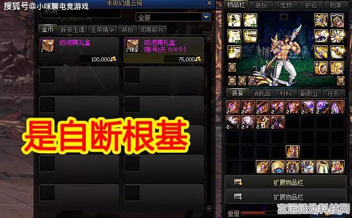 DNF圣骑士终极攻略，揭秘致命一击，属性搭配与攻击方式深度剖析