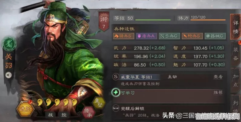 三国志手游攻略，揭秘蜀骑T0阵容最强搭配策略