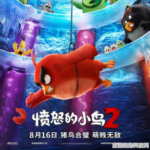 愤怒的小鸟2原声配音齐聚，爆笑剧情再升级，全新冒险等你探索！