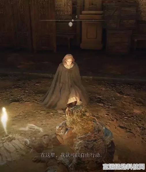 艾尔登法环深度解析，为何一周目应避免过度刷级？