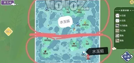 手游攻略，揭秘小森生活忍冬花采集秘籍与最佳地点