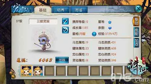 诛仙手游，宠物禁食技能全攻略，解锁战斗新策略