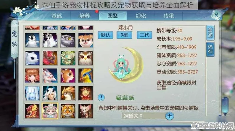 诛仙手游，宠物禁食技能全攻略，解锁战斗新策略