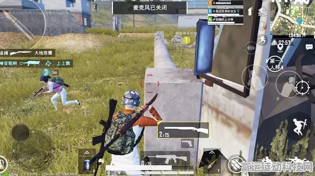 和平精英王牌之路全攻略，解锁精英之路，登顶荣耀巅峰