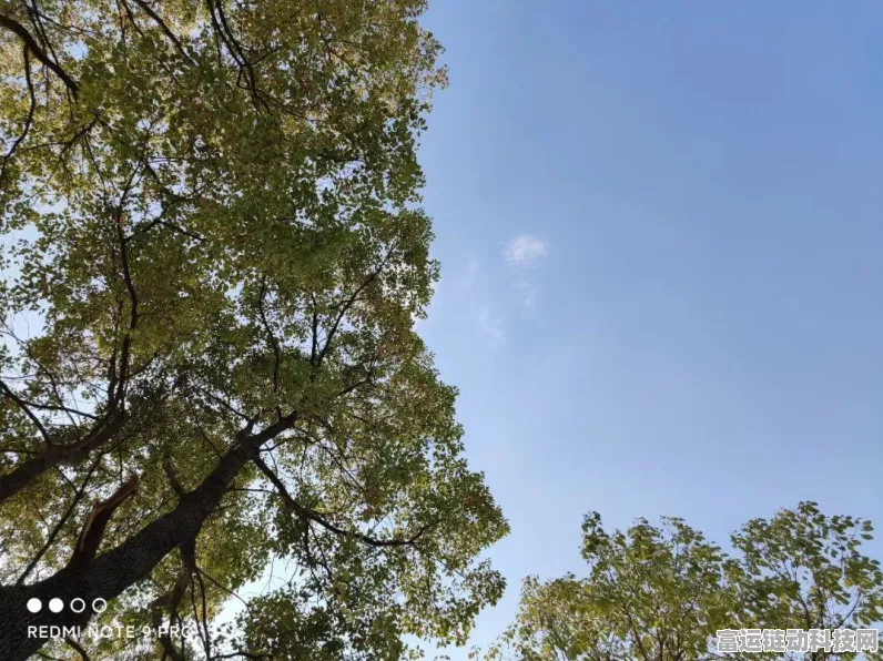 哈利波特魔法觉醒，揭秘强化勋章的神奇功效与实战应用