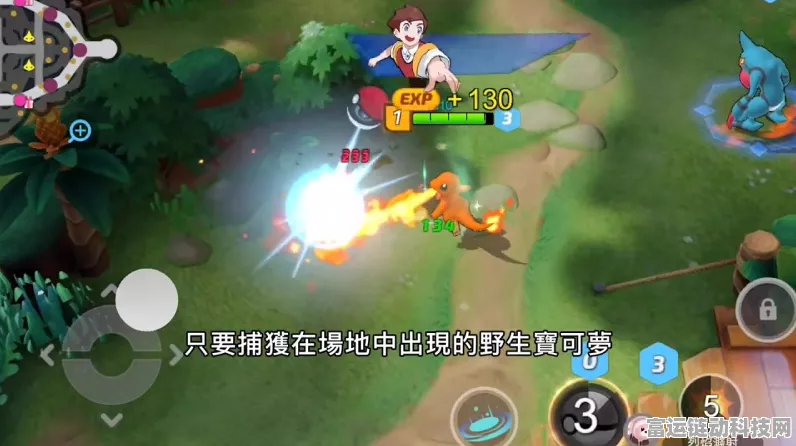 宝可梦大集结，等级进化深度剖析与实战攻略