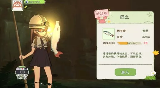 手游烹饪秘籍，小森生活鱼肉制作全攻略