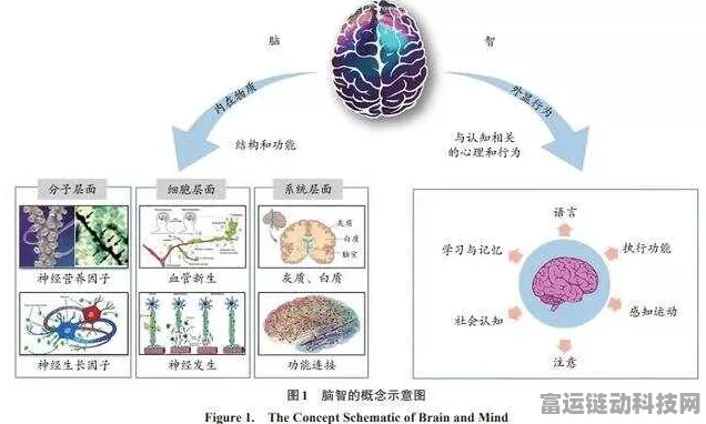 手游新知，细胞记忆力揭秘，未来游戏健康机制或迎新突破？