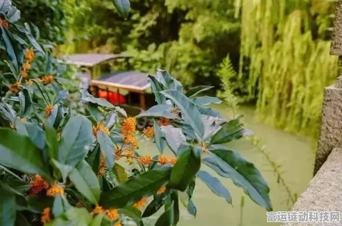 江南百景图茱萸花，解锁神秘功效与游戏玩法深度解析