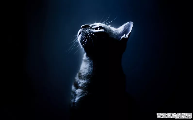 猫头鹰神技揭秘，手游玩家如何在冬日提升设备性能？加装猫扇成新潮流