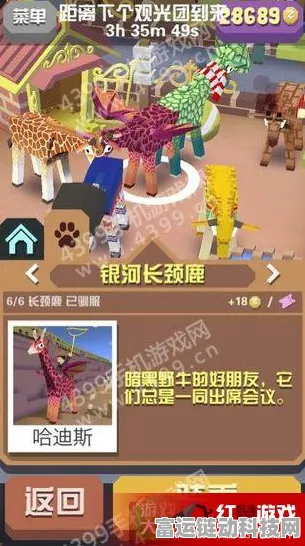 疯狂动物园手游，揭秘隐藏任务全攻略，解锁稀有动物与无限乐趣！