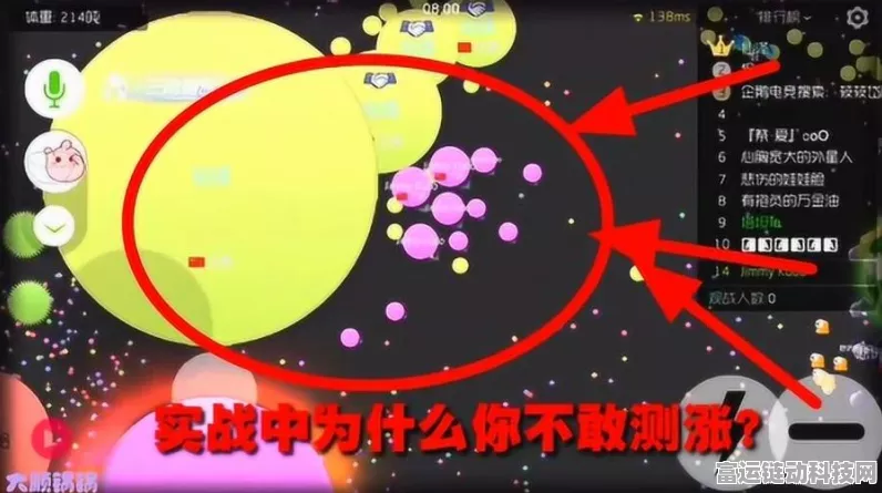 球球大作战，深度解析球球号身份标识与竞技盛宴