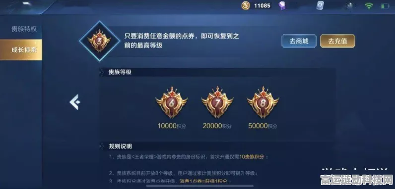 王者荣耀V10荣耀贵族尊享特权全揭秘，豪华礼遇与专属赛事等你来战！
