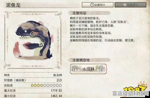 泥鱼龙β套装实战大揭秘，怪物猎人世界中的顶级狩猎利器