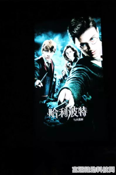 哈利波特魔法觉醒，麦格教授的秘密挑战赛全面揭秘