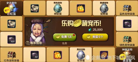 DNF手游宠物收集全攻略，解锁萌宠的多样途径与技巧深度剖析