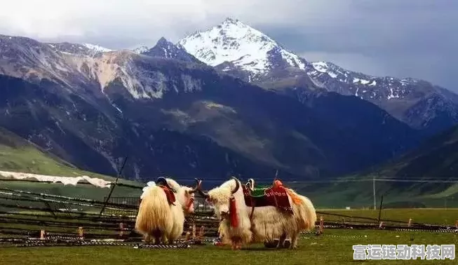 一梦江湖新玩法曝光，骑乘萌宠山羊，探索绝美雪山草原与塞北风光！