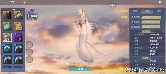妄想山海，揭秘夫诸进化丹的获取攻略与进化细节
