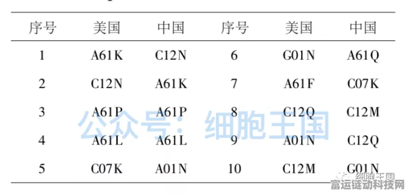 2024 纯白和弦角色实力巅峰对决排行榜重磅揭晓