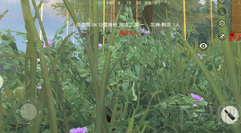 荒原疗者苋菜获取秘籍大公开