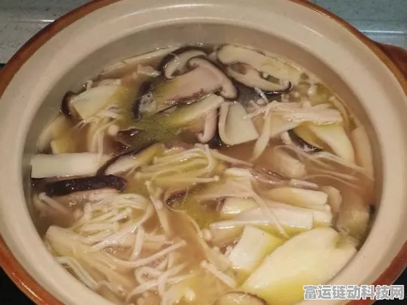 海龟蘑菇汤，路遥知玛丽通关秘籍大揭秘