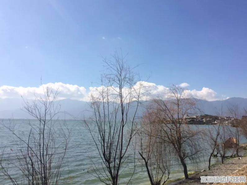 心动小镇家园地块解锁秘籍大公开