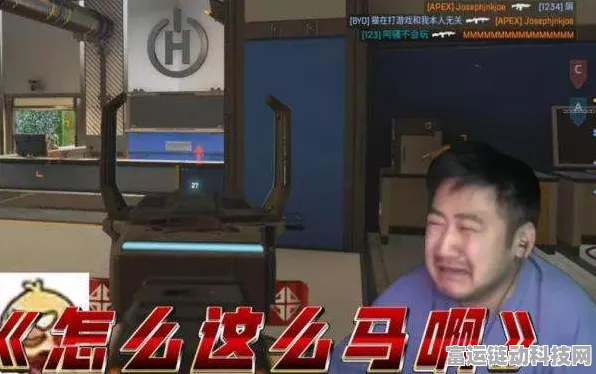 茄子老马表情包大揭秘，精彩瞬间全收录