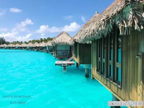 心动小镇，寻觅青绿色鸭子的神秘之旅 第十天位置全揭秘
