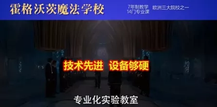哈利波特，探秘光轮 2000 的获取与使用秘籍