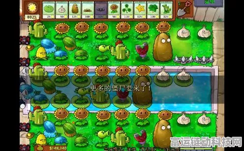 植物大战僵尸白天无尽最佳阵型