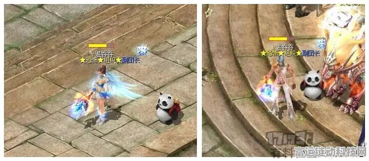 魔域口袋版深度解析，装备升级与三宠开启的明智之选