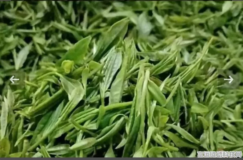 天涯明月刀手游，茶话会玩法全攻略，解锁社交新乐趣！