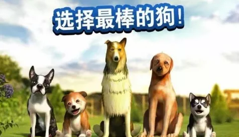 探寻救救狗狗小游戏的神秘入口