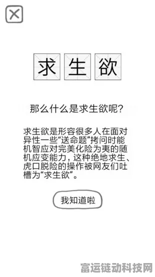 文字脑洞查寝秘籍，轻松通关指南