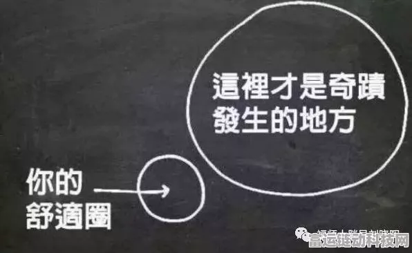 文字梗传舒适圈通关秘籍大揭秘
