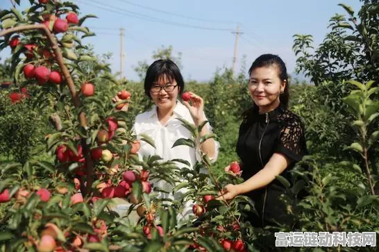 烟雨江湖药王谷支线，深度探秘与通关秘籍