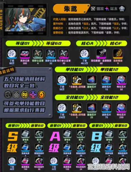绝区零朱鸢养成秘籍，全方位攻略指南