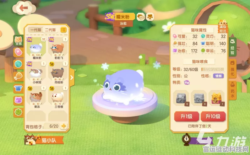猫咪公寓 2 超值未过期礼包码 cdkey 大集结