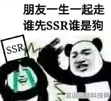 阴阳师高手秘籍，深度剖析行动条与速度，竞技场制胜新策略