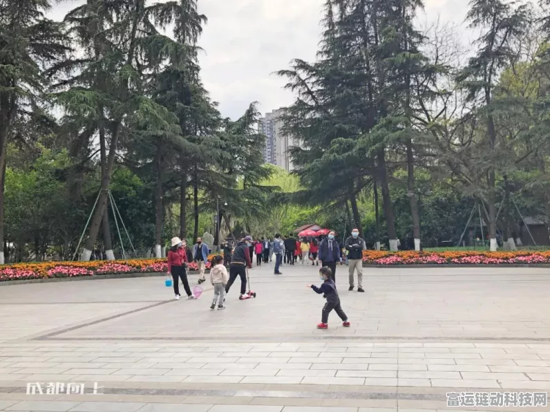 和平精英鹤鸣套装独家攻略，揭秘获取途径与赛事全细节