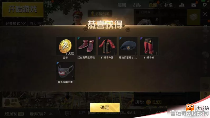 绝地求生高手秘籍，掌握排名查看技巧，解锁顶尖赛事荣耀之路